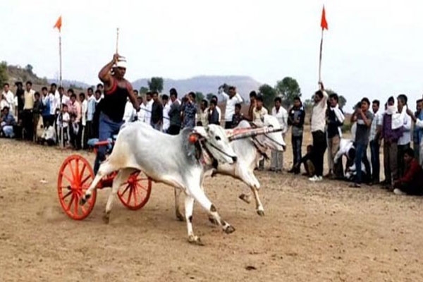 Shankarpat competition