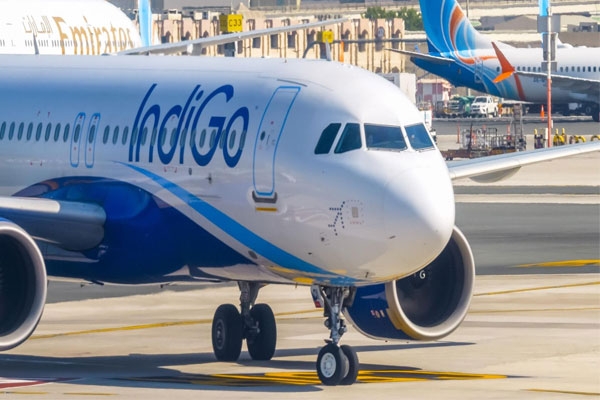 IndiGo Airlines, flight delays, flight cancellations, passenger complaints, class action lawsuit, passenger compensation, airline customer service, aviation sector expert, flight schedule disruption, airline accountability, mental and financial distress, Indian aviation news, air travel issues, passenger rights, collective lawsuit against airline