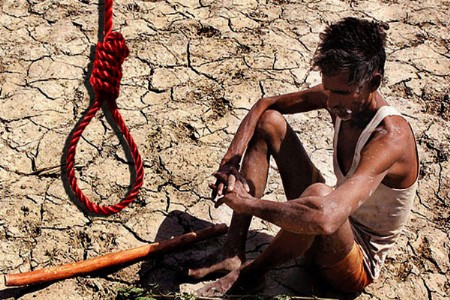 शेतकरी आत्महत्या... कृषी क्षेत्रातील अपव्यय... कायदा सुव्यवस्थेच्या मुद्द्यांवर टीका