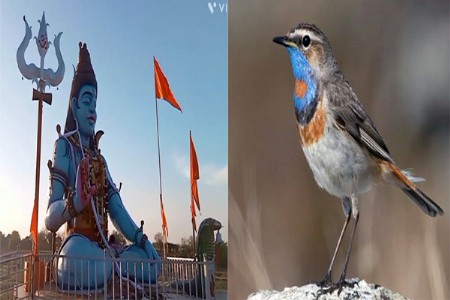 स्मशानेश्वर महादेव परिसरात ‘खराखुरा शंकर’ दाखल