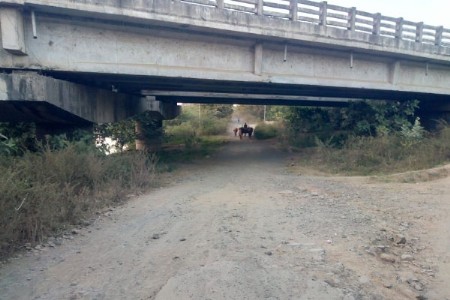 नागपूर—तुळजापूर अंडर बायपास मृत्यूचा सापळा?