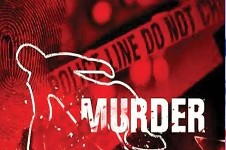 पत्नीला लहान भावासह संबंध ठेवताना पहिले अन्...