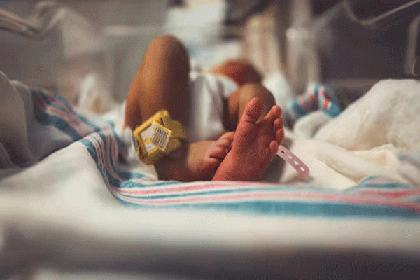 300-children-from-same-father 300-children-from-same-father