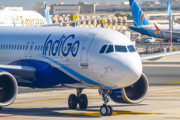 indigo flights