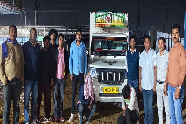 illegal cattle transport