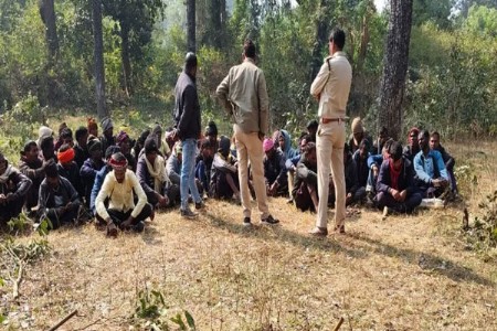 व्याघ्र प्रकल्पाच्या संवेदनशील झोनमध्ये जंगल कटाई!