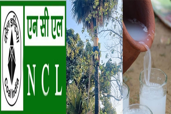 NCL adulteration detection kit