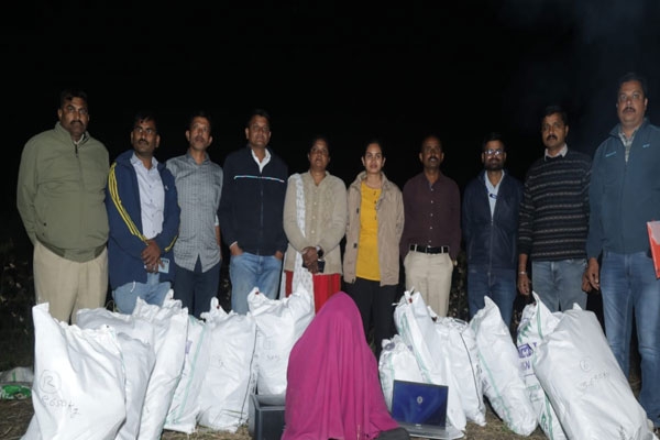 illegal cannabis cultivation,