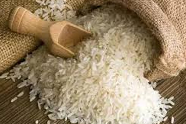 तांदूळ निर्यात 