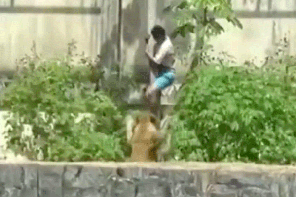 zoo-botanico-arruda-camara