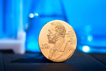 2025 मधील प्रमुख आंतरराष्ट्रीय आणि राष्ट्रीय पुरस्कार