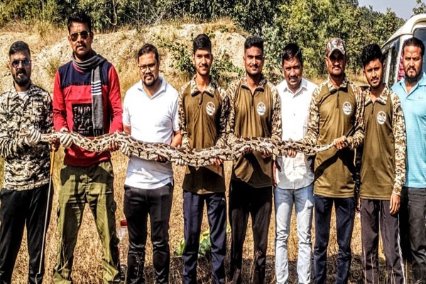  12-foot python rescued Nagbhid