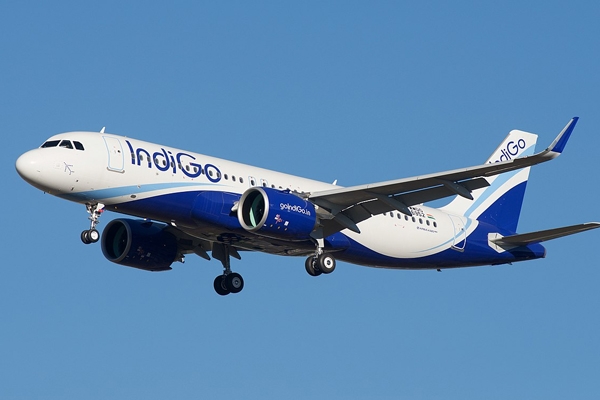 indigo flight