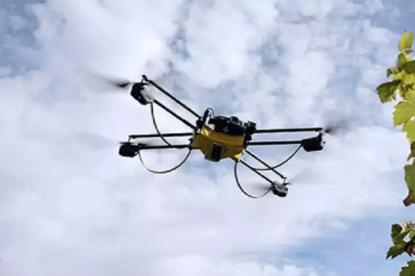 pakistan-deployed-at-border