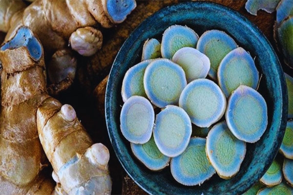 Blue turmeric