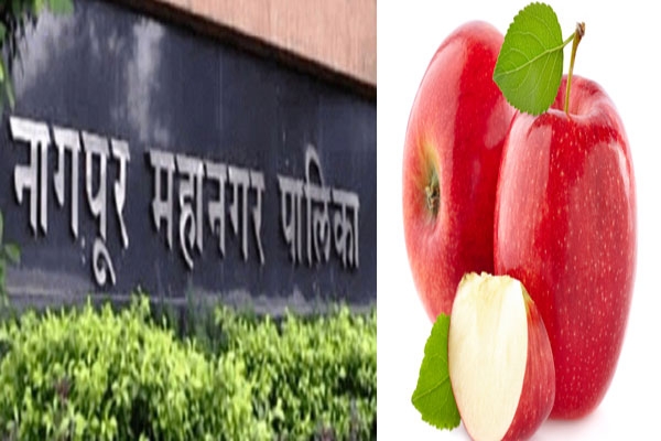 Nagpur Municipal Corporation election 2025