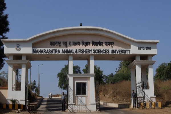 Maharashtra Animal and Fishery Sciences University Nagpur 