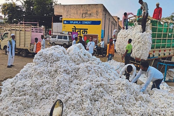 CCI cotton procurement Karanja 