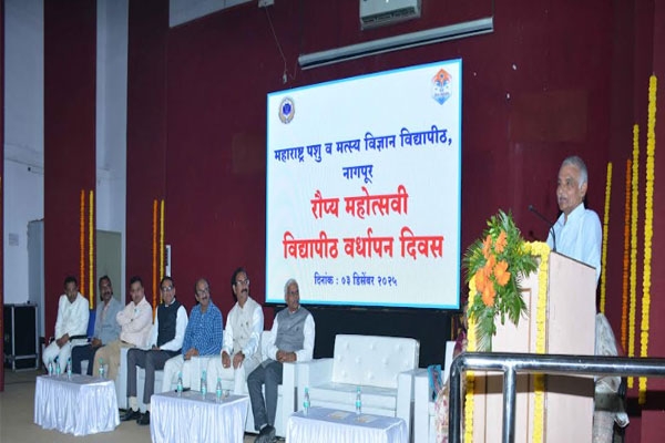 25th anniversary celebration