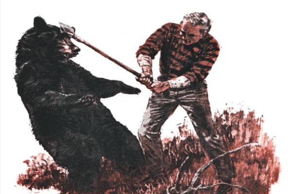 संग्रहित फोटो