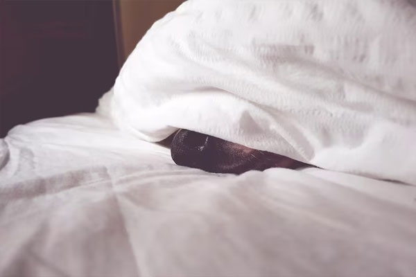 rajai in winter sleeping