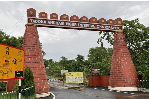 tadoba