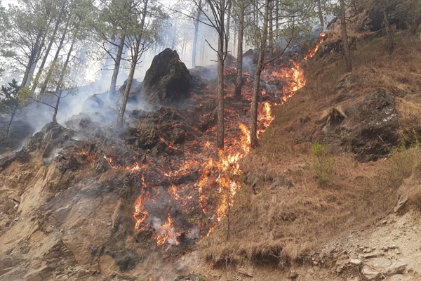 नंदा देवी नाटीनाला पार्क 