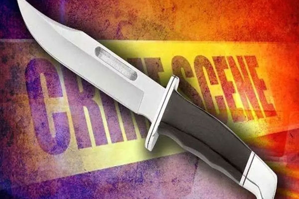 Nagpur stabbing