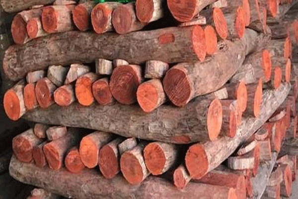 sandalwood-seized-in-karnataka