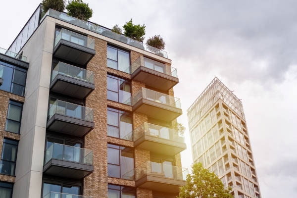 Dispute in Bangalore flat