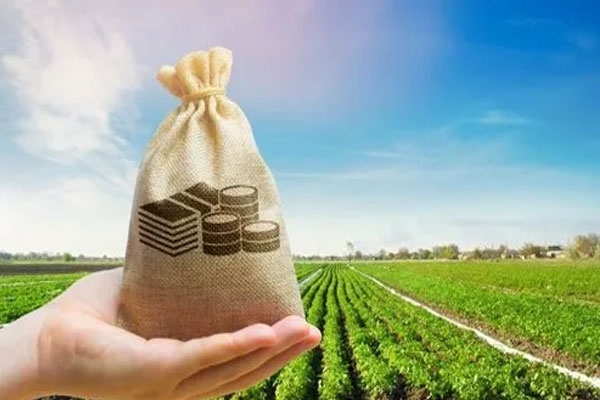 maharashtra farm loan