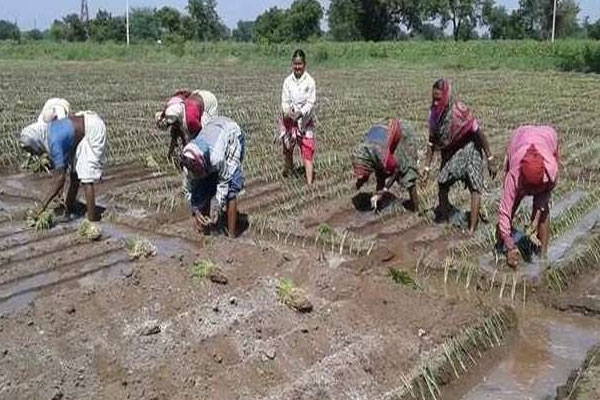 agriculture officers strike