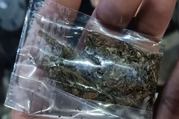 Wadsa drug raid, ganja sale