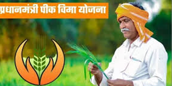 केवळ ४५३ शेतकर्‍यांनीच काढला विमा