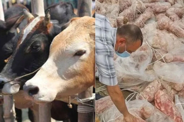 बाबा ट्रेडर्स 