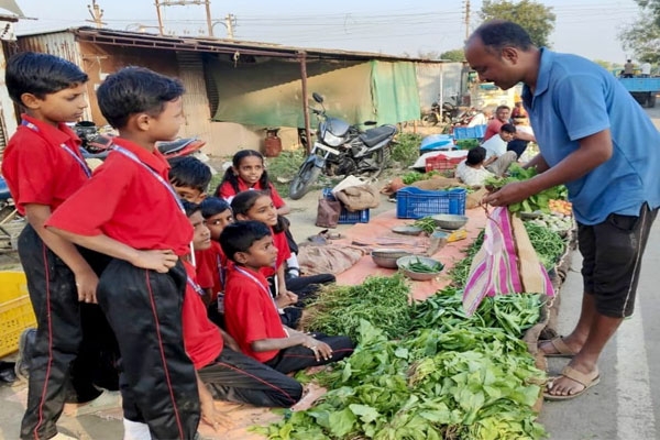 Shikapur primary school vegetable garden