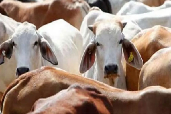 Mandya district Srirangapatna