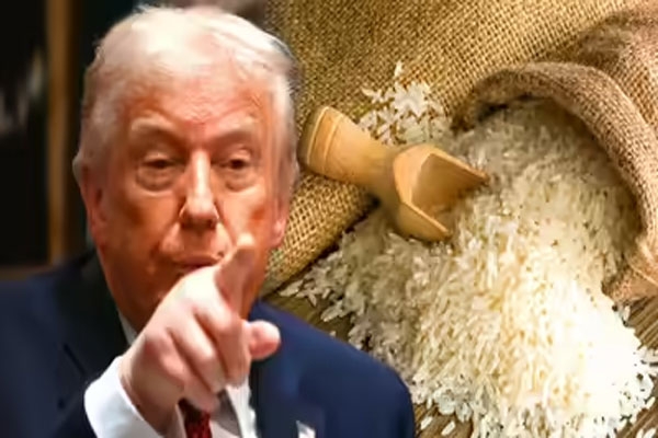 donald trump tariffs in indian rice donald trump tariffs in indian rice