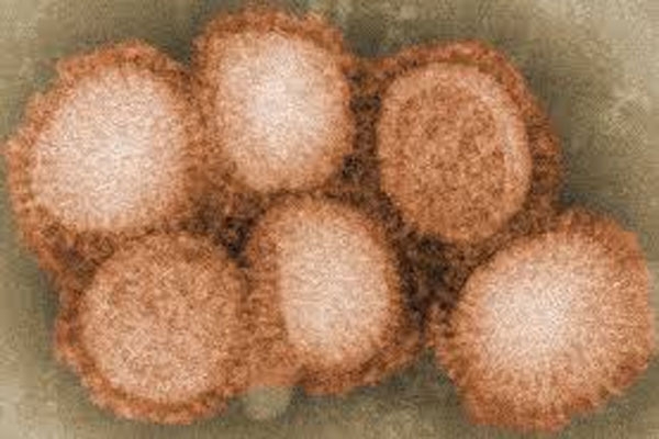 h3n2 influenza virus