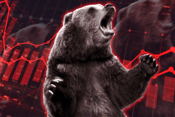 share market bear