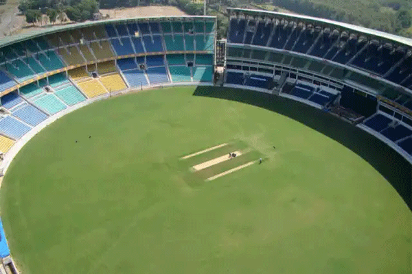 cricket cricket