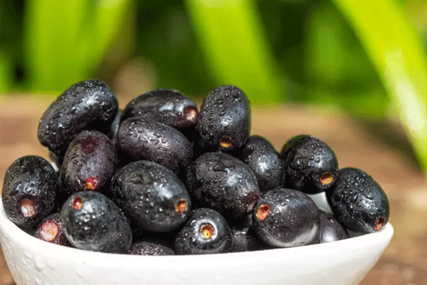 Jamun Powder 