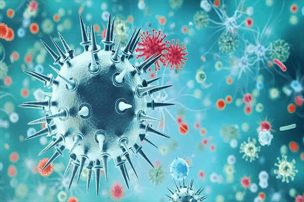 swine flu