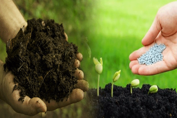 Organic farming