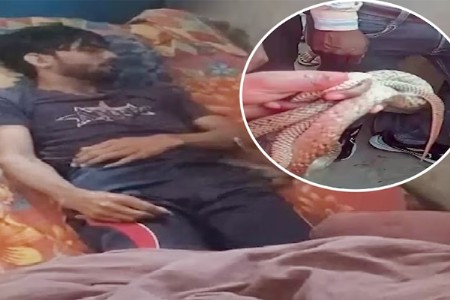 भयंकर:मृत्यूनंतरही तो मृतदेहाखालीच बसला होता