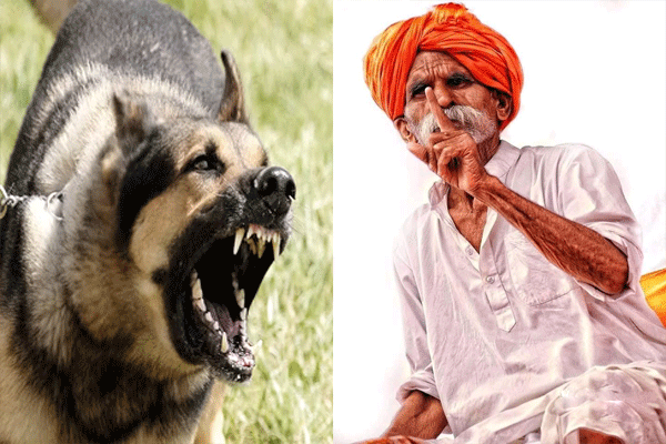 bhide 