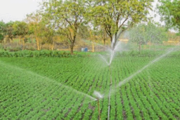 Summer farming