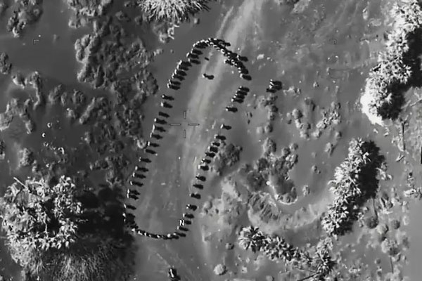 Trump shared a horrifying video