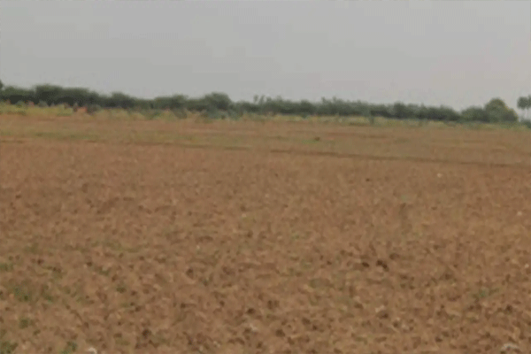 सिलिंगच्या शेतजमिनी भोगवटदार वर्ग 1 करा