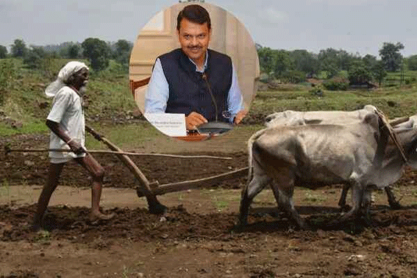 Maharashtra government land decision